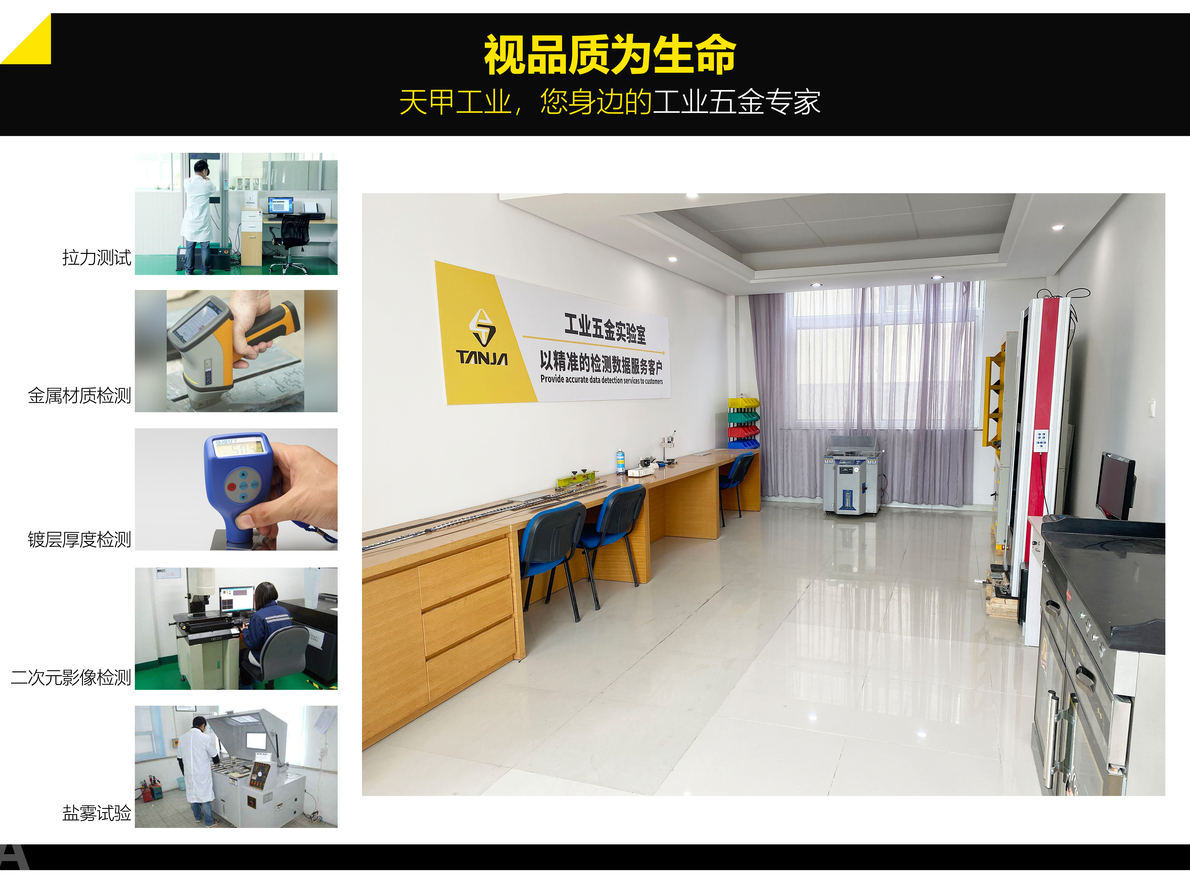 Investigación y desarrollo de productos